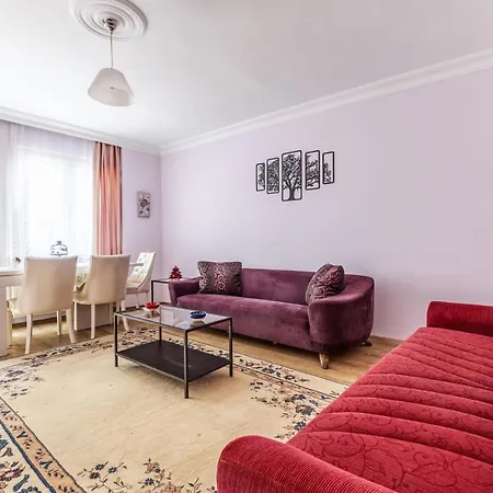 Διαμέρισμα Spacious Furnished Classy Flat In Maltepe