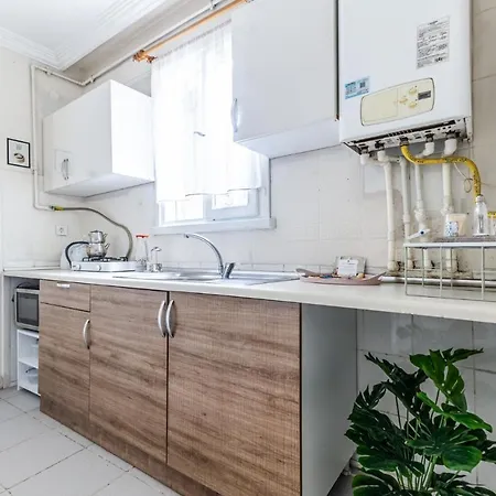 Διαμέρισμα Spacious Furnished Classy Flat In Maltepe Κωνσταντινούπολη