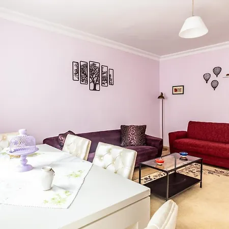 Spacious Furnished Classy Flat In Maltepe 公寓 *