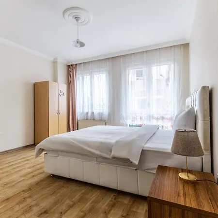 Spacious Furnished Classy Flat In Maltepe 公寓 *