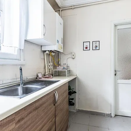 Spacious Furnished Classy Flat In Maltepe Lejlighed